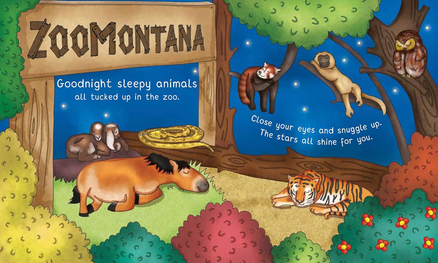Night-Night Montana